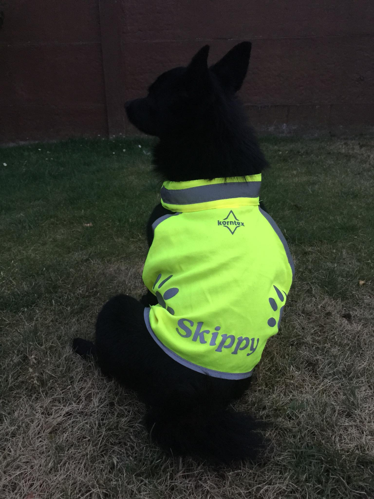 Gilet Hi Vis pour chien