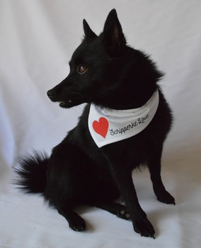 Doggie Bandana