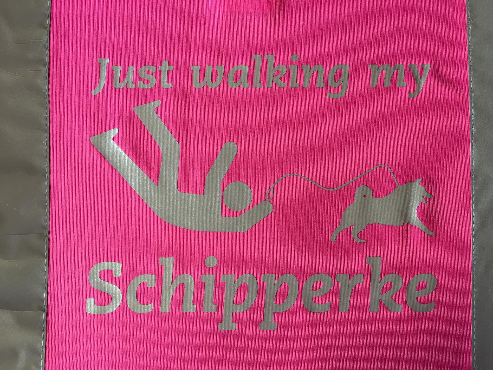 Hi Vis vest "Just walking my Schipperke"