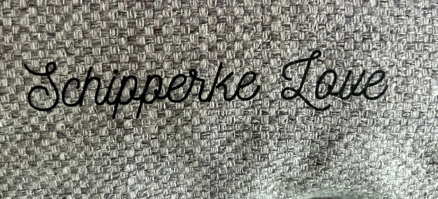 Coussin avec imprimé Schipperke en Flock
